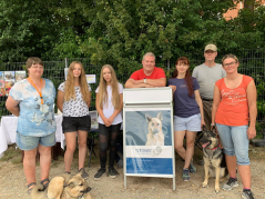 IMG 20190811 WA0013