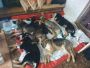 IMG 20240706 WA0018