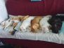 IMG 20240706 WA0022