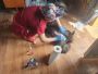 IMG 20241210 WA0010