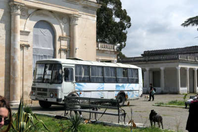 Ein Bus voller Hunde