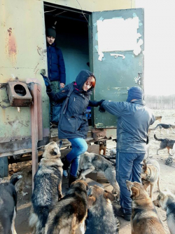 ред20200223 131007
