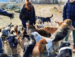 ред202002255325190104997760872