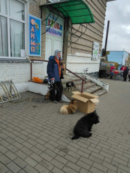 IMG 20200308 WA0019
